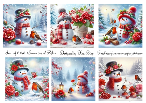 Snowmen and robin set 1