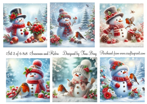 Snowmen and robin set 2