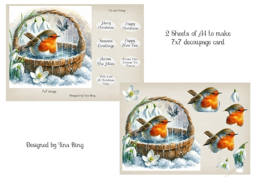 Robin in a bath  with snowdrops