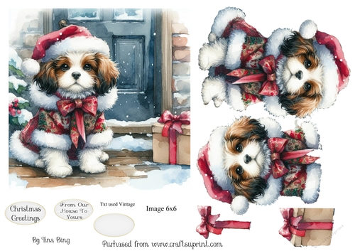 Doorstep puppy 2