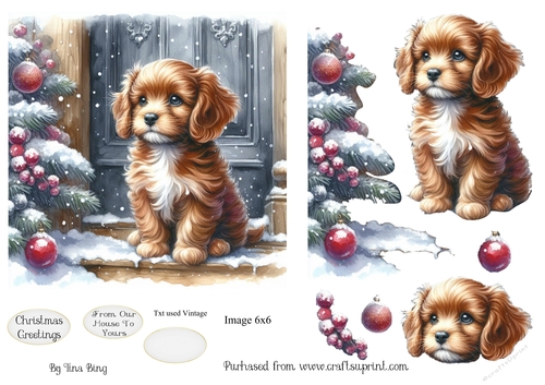 Doorstep puppy 3