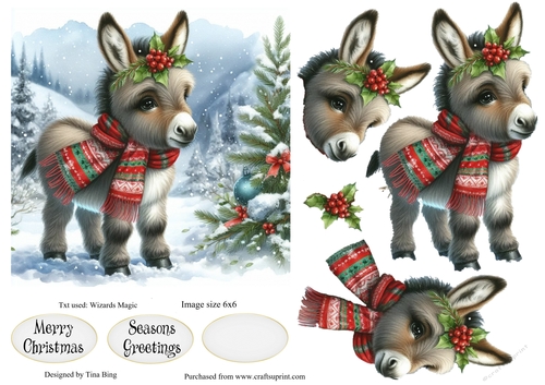 Lone Donkey