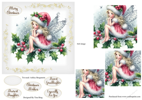 Holly Fairy