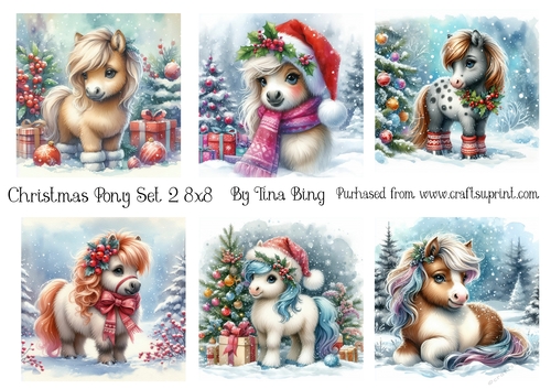 Christmas pony 1