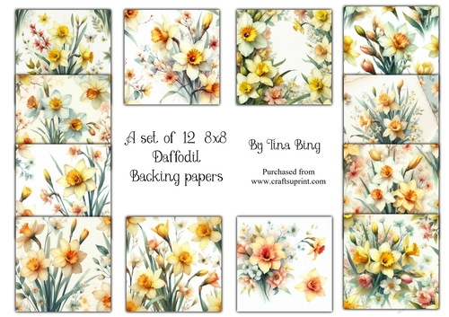 Daffodil 