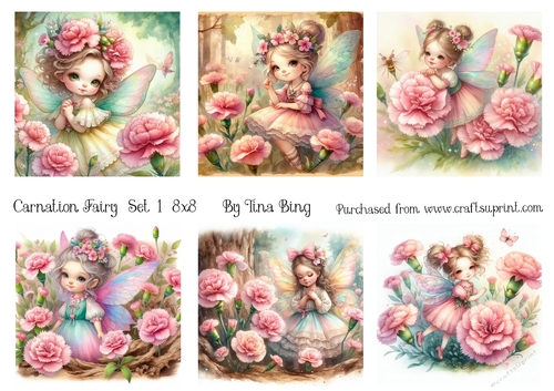 Carnation Fairy