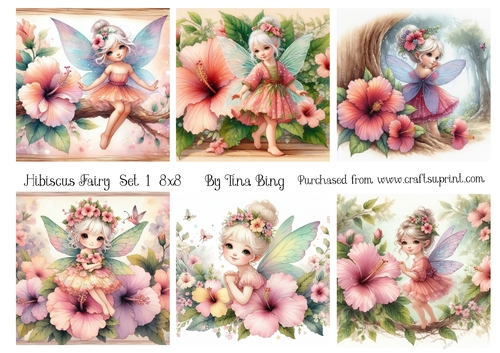 Hibiscus Fairy