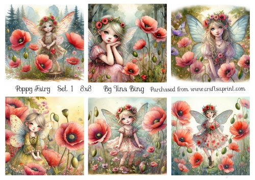Poppy Fairy set1