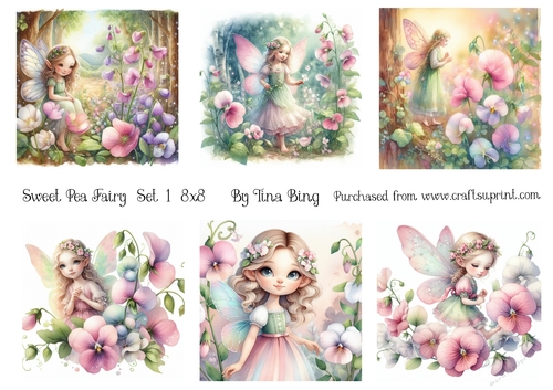 Sweet pea Fairy 