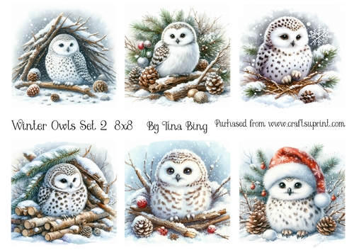 Winter Owls 2