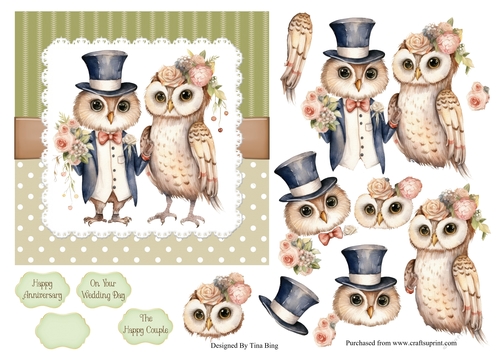 Wise Owls