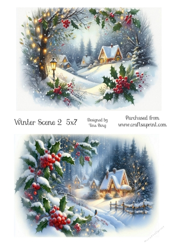 Winter scene 2