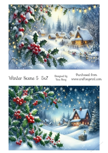 Winter scene 5