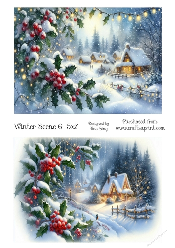 Winter scene 6