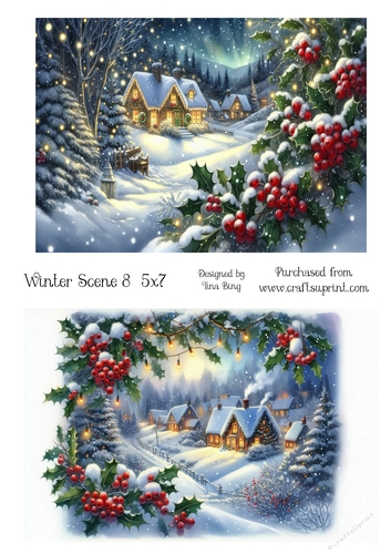 Winter scene 8