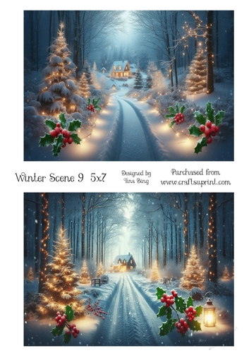Winter scene 9