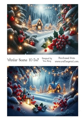 Winter scene 10