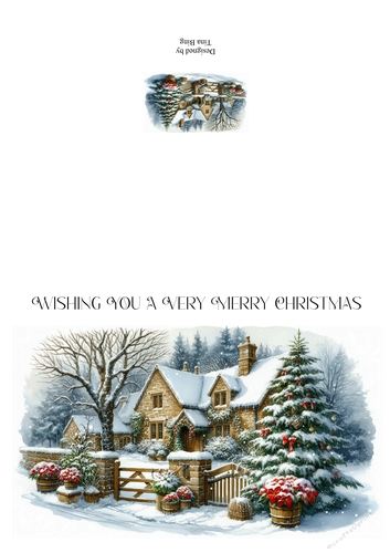 Christmas Card 5 & insert