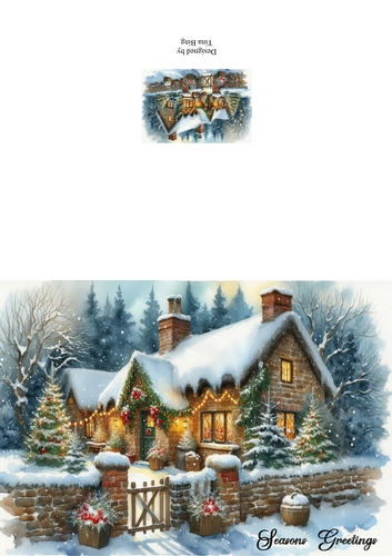 Christmas Card 11 & insert
