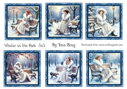 Winter in the Park