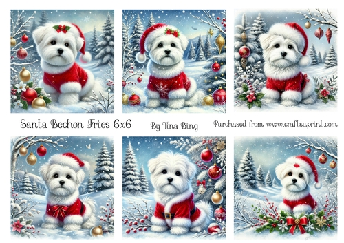 Santa Bichon Frise