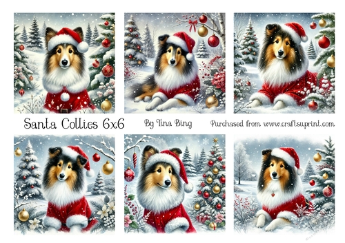 Santa Collie Dogs