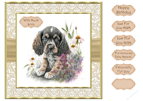 Puppy 1