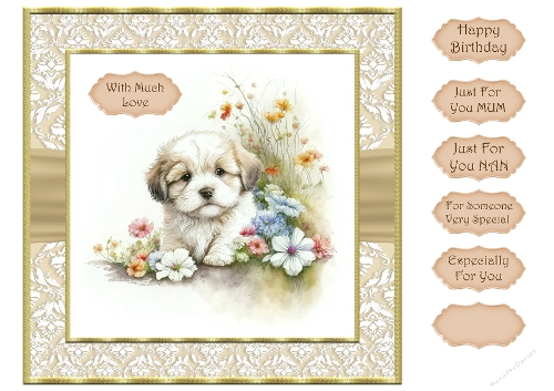 Puppy 5