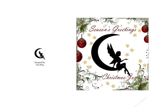 Star Catcher Fairy