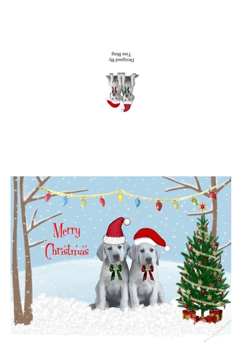 Christmas Labs