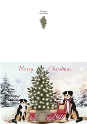 Gifts around the tree