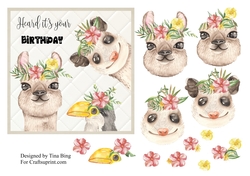 Heard its your birthday
