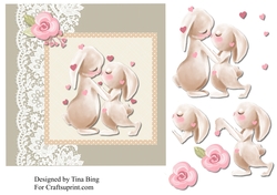 Bunny Hug
