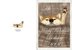Isolation birthday 