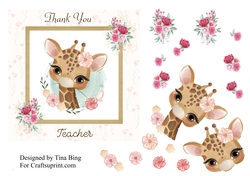 Thank you teacher 