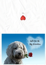 Valentine Dog