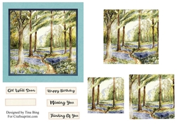 Bluebell woods