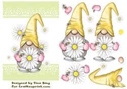 Daisy Gnome