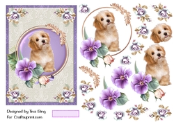 Cute Puppy