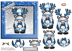 Christmas Gnome