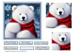 Pola Bear
