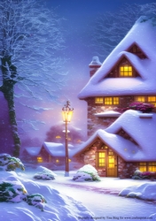  In the warm
