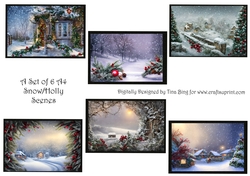  Snow and Holly