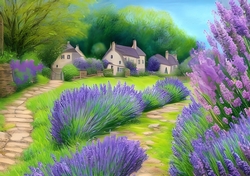 View of the lavender
