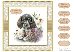 Puppy 1