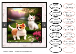 Kittens 1