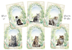 Arched Cats
