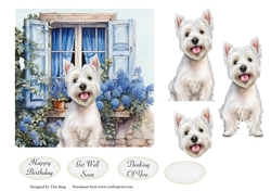 Dog in the window 1