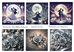 Silver Anniversary