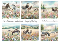 Donkeys in a meadow